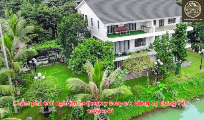 Khám phá trải nghiệm homestay Ecopark Rừng Cọ Hưng Yên tuyệt vời