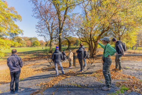 Central Park walking tours