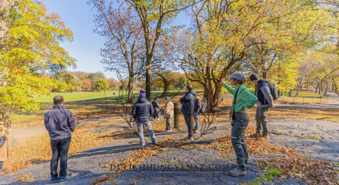 Central Park walking tours